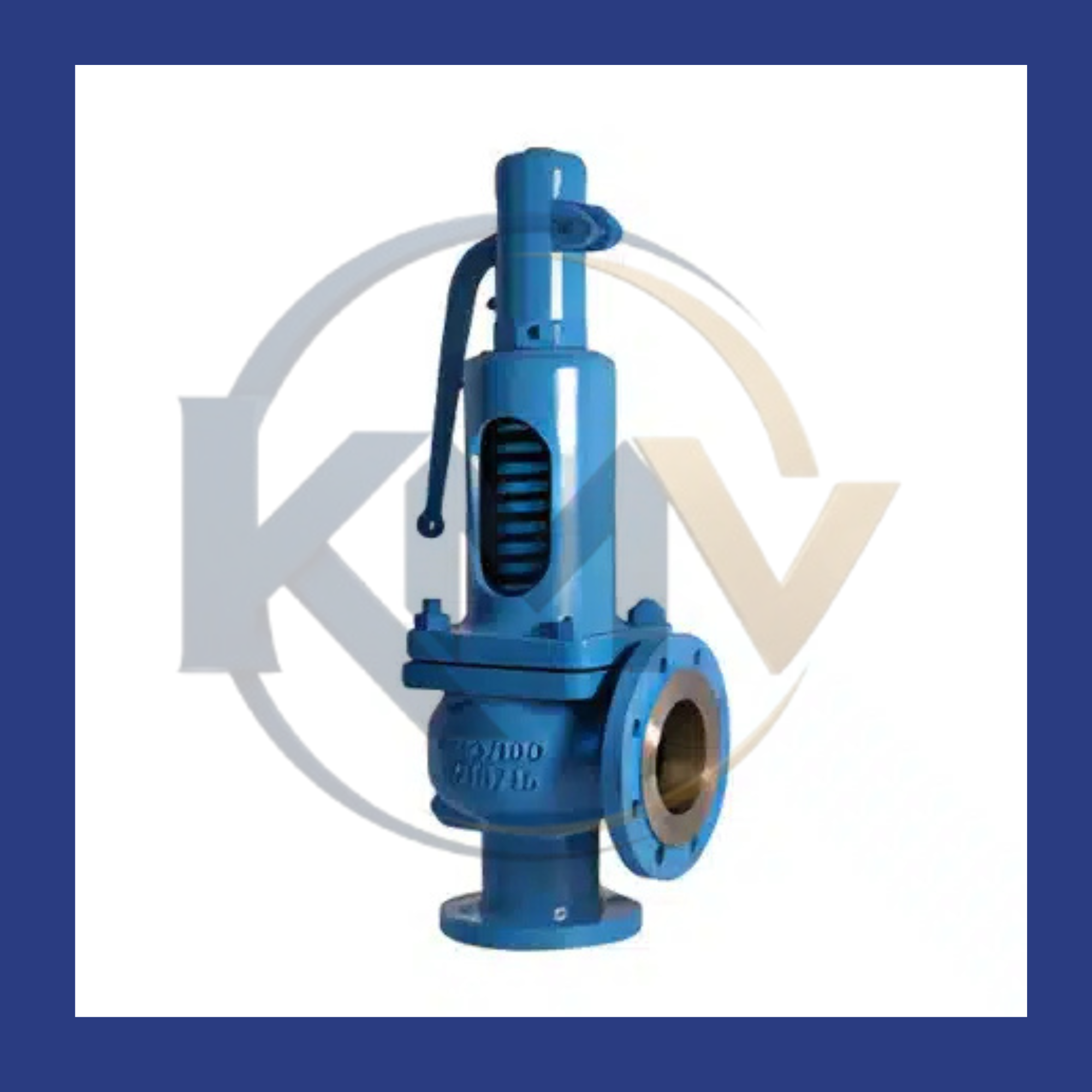 Balanced Bellows Safety Valve